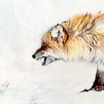 Fables – Collectif d’Artistes de la Galerie Brûlée