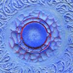 De la terre ! – Peintures