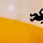 Théâtre d’ombres, marionnette et conte